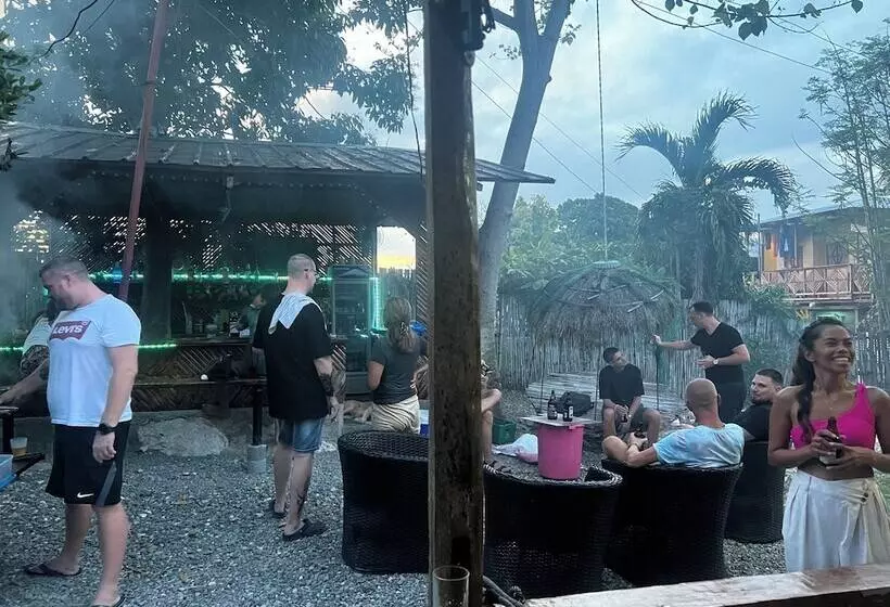 ユースホステル The Backyard Inn