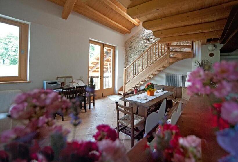 B&b La Valle Dell Albero