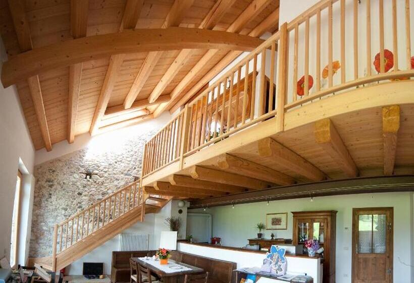 B&b La Valle Dell Albero