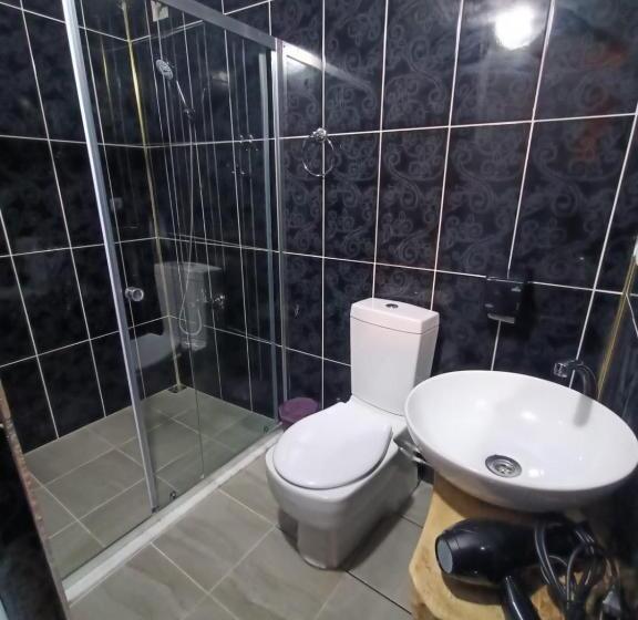 مبيت وإفطار Camelli̇a Dağ Evleri̇