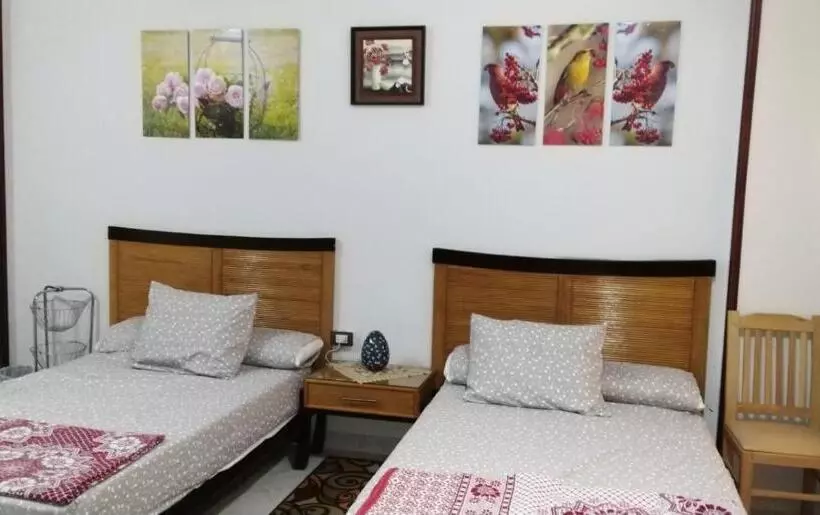 منتجع طيبة فيو Tiba View