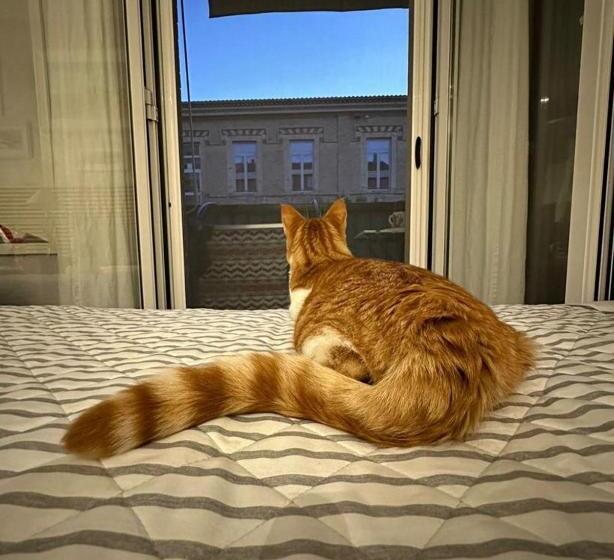 تختخواب و صبحانه Mentamarina