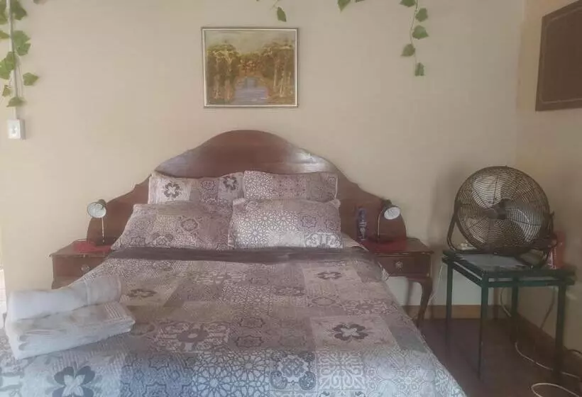 Heidelberg Central B&b