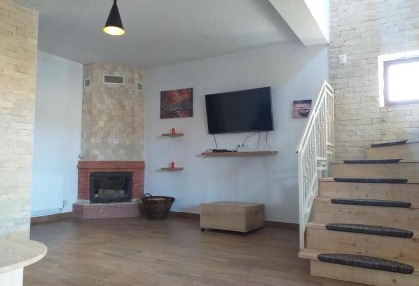 Пансион Vila Ami