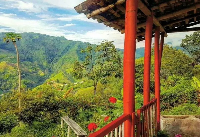 ホテル Café Tío Conejo. Finca