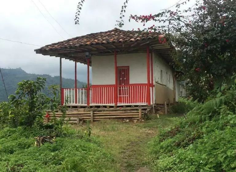 ホテル Café Tío Conejo. Finca