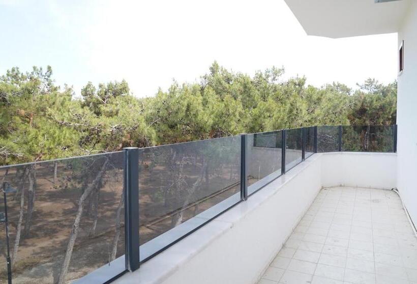 צימר Didim Palace