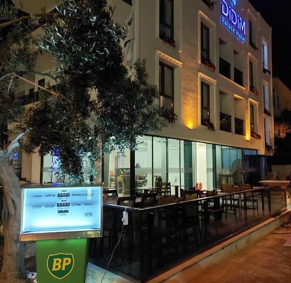 צימר Didim Palace