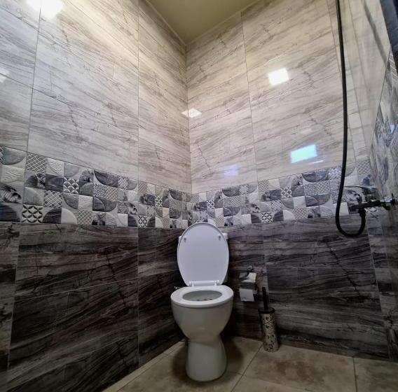 پانسیون Old House Korolistavi