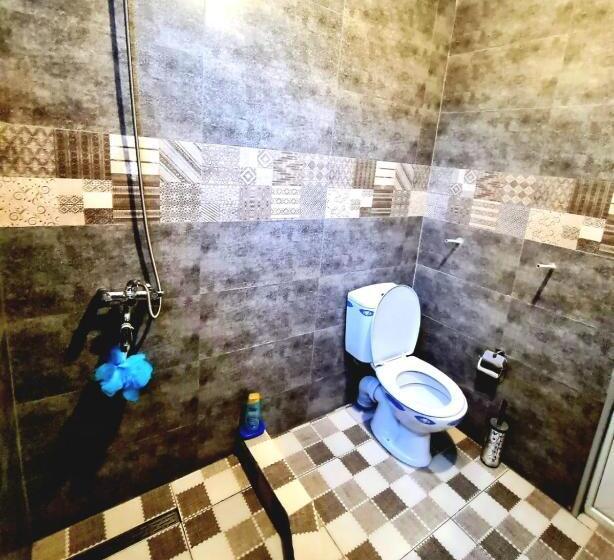 پانسیون Old House Korolistavi