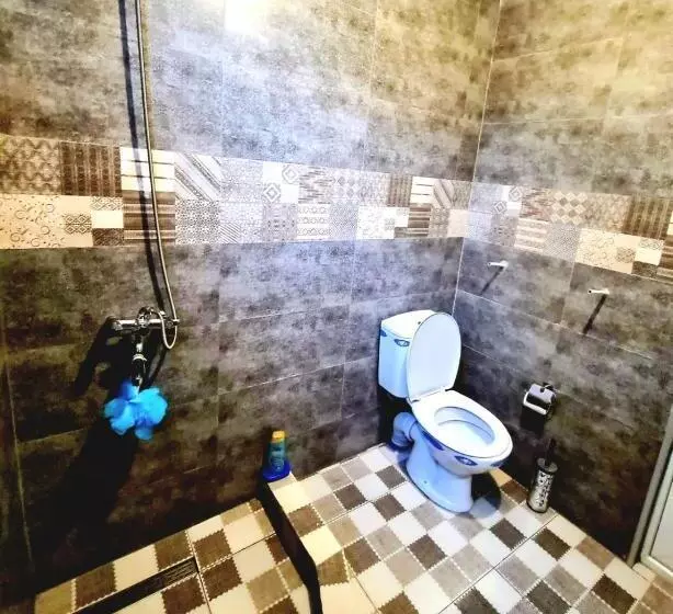 پانسیون Old House Korolistavi