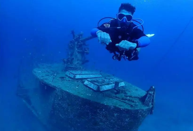 ユースホステル Escape Divers   The Jungle