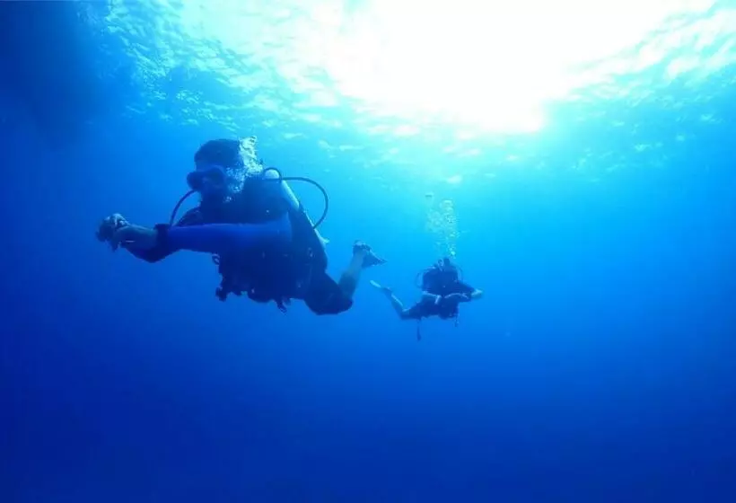 ユースホステル Escape Divers   The Jungle