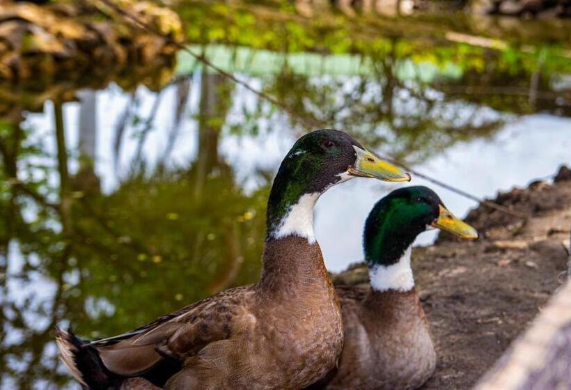 Eco Hotel Boutique En Ecoparque Chinauta, Piscina, Granja, Juegos