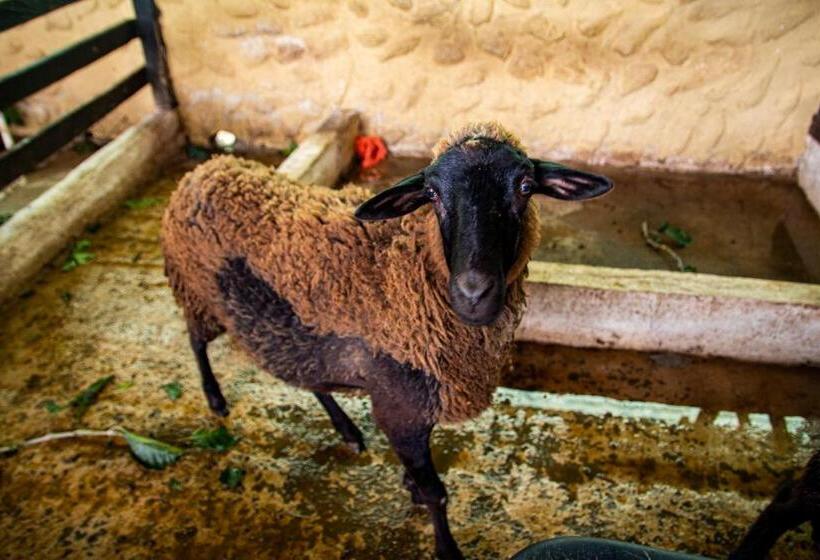 Eco Hotel Boutique En Ecoparque Chinauta, Piscina, Granja, Juegos