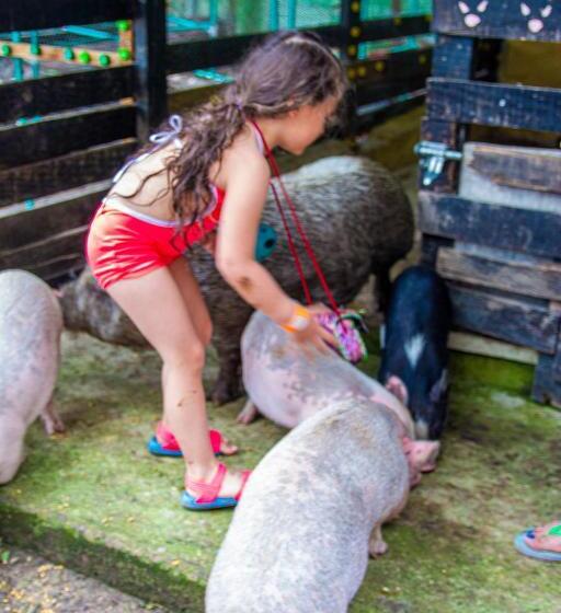 Eco Hotel Boutique En Ecoparque Chinauta, Piscina, Granja, Juegos
