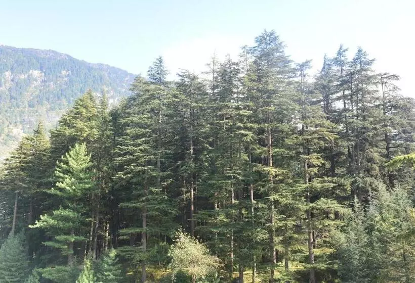 ホテル Neelgiri   Manali Diaries