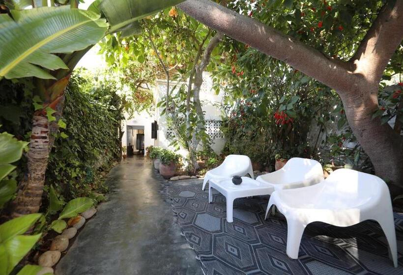 Bed & Breakfast El Manzar