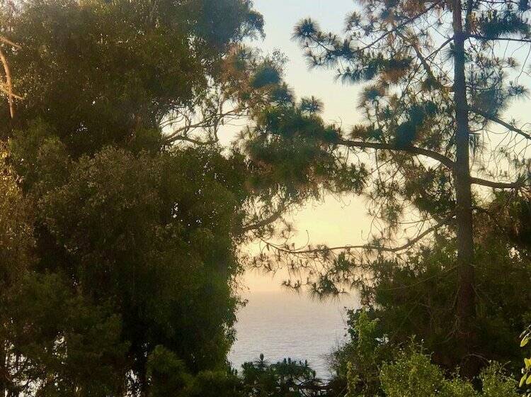 Bed and Breakfast Lofts Casa El Pangue Zapallar