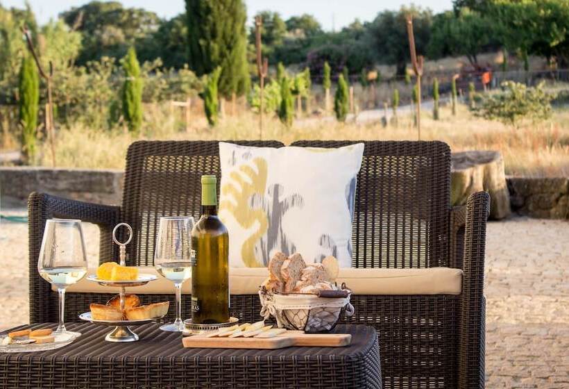 هتل Quinta Dos Carvalhos