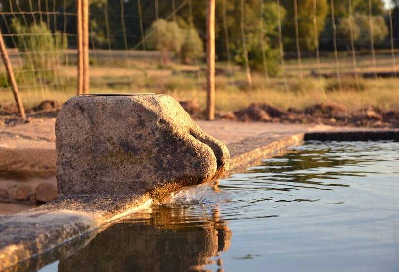 هتل Quinta Dos Carvalhos