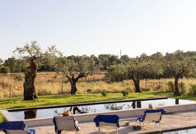 هتل Quinta Dos Carvalhos