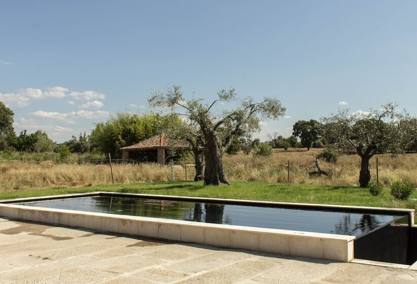 هتل Quinta Dos Carvalhos