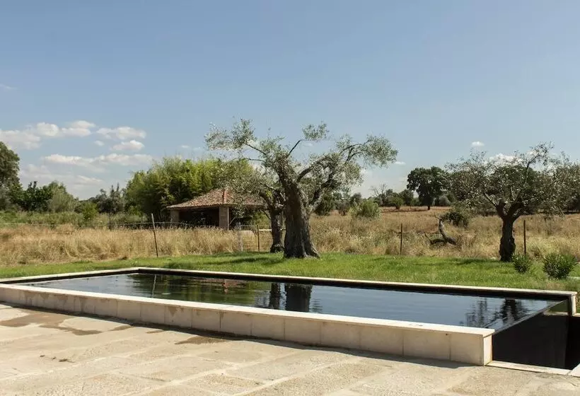 هتل Quinta Dos Carvalhos