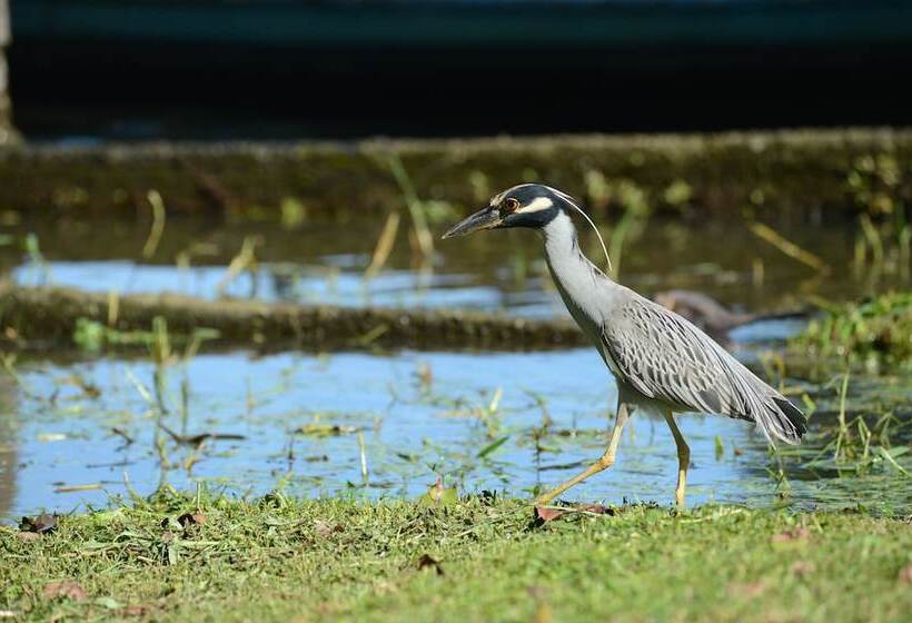 ホテル Rana Roja Lodge