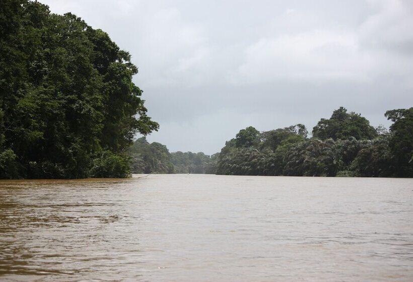 ホテル Rana Roja Lodge