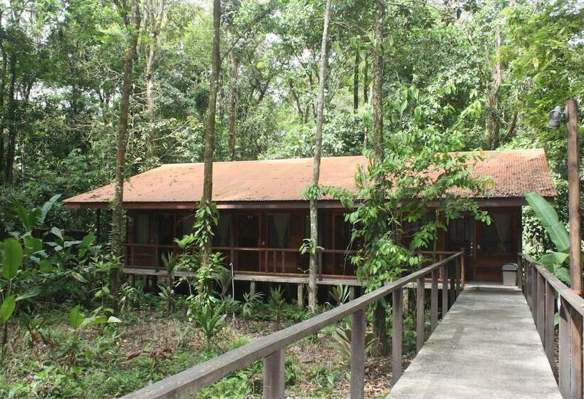 ホテル Rana Roja Lodge