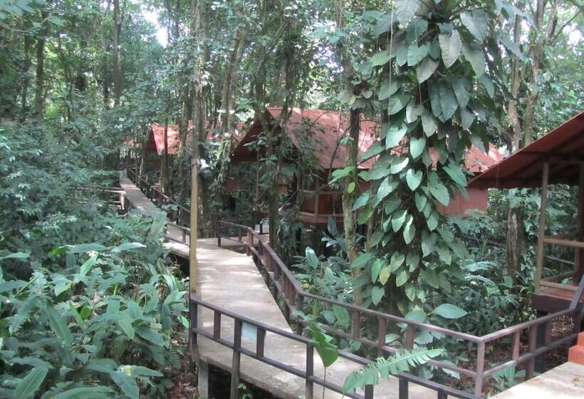 ホテル Rana Roja Lodge