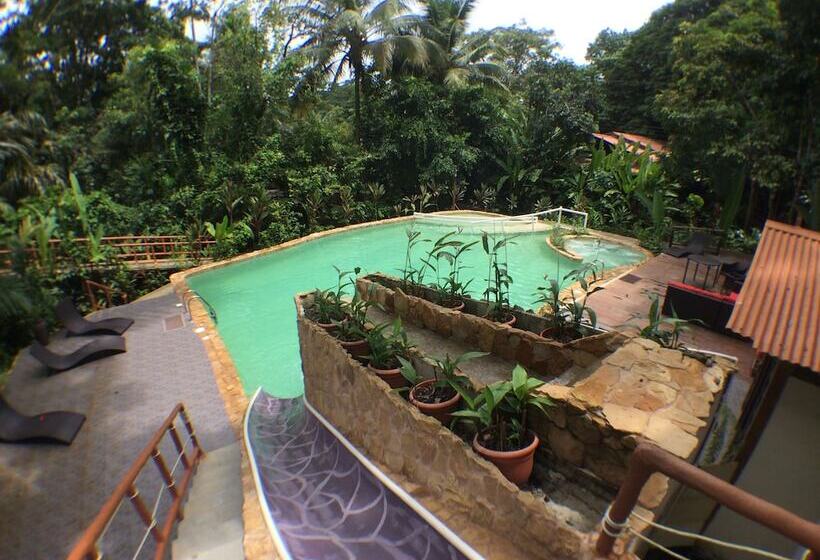 ホテル Rana Roja Lodge