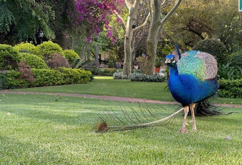 پانسیون Black Eagle Hotel & Spa