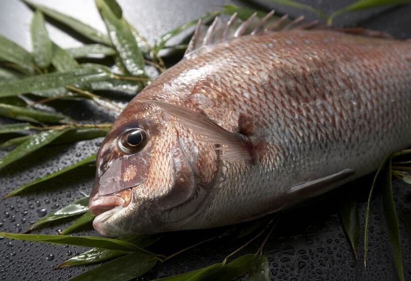 日式旅馆 Wakayama Kada Onsen Kada Kaigetsu