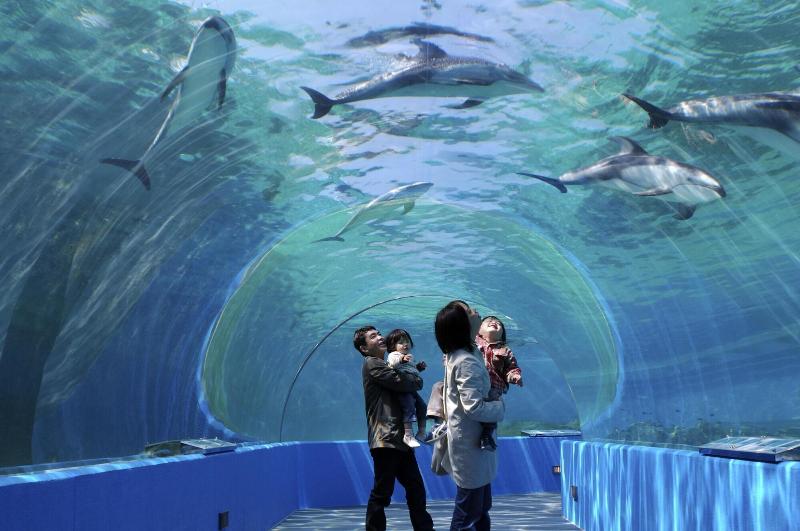 ريوكان Taoya Wakura