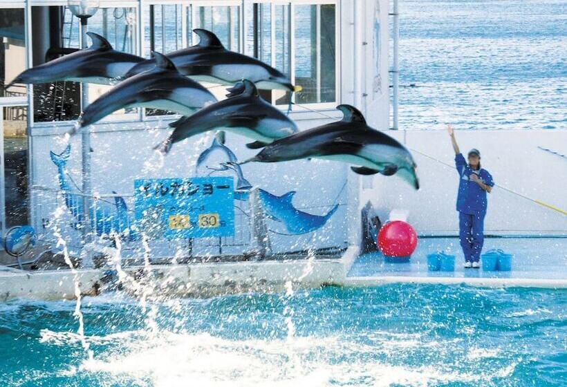 ريوكان Taoya Wakura