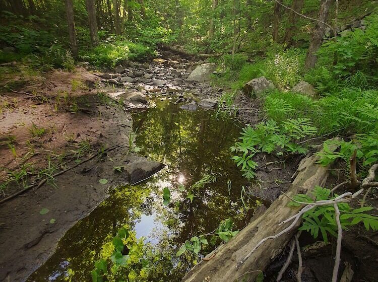 호스텔 Le Salon Des Inconnus