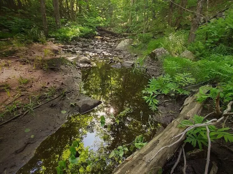 Retkeilymaja Le Salon Des Inconnus
