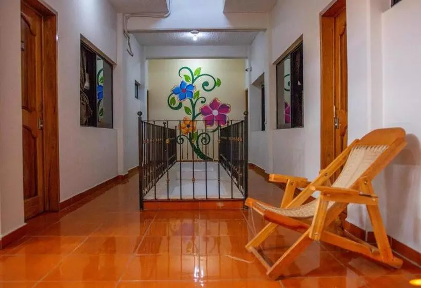 هاستل Posada Girasol