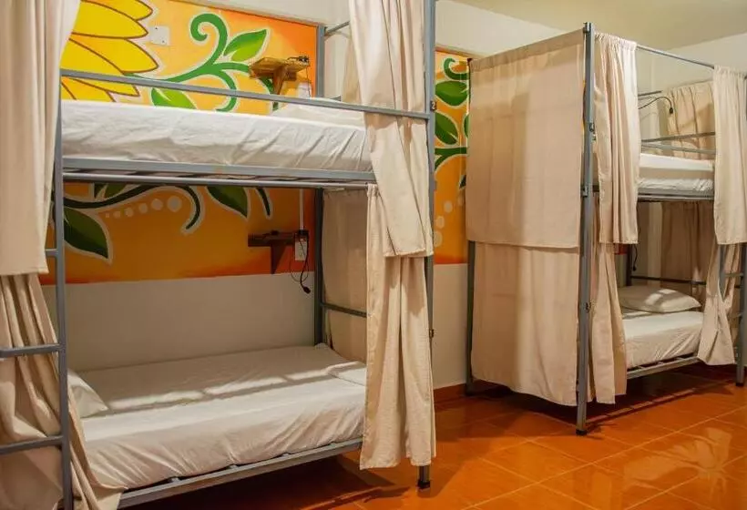 هاستل Posada Girasol