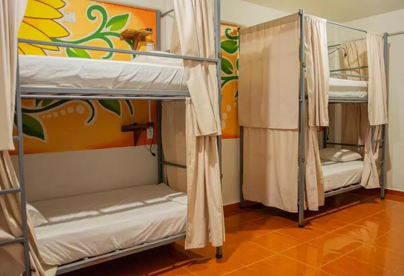 هاستل Posada Girasol