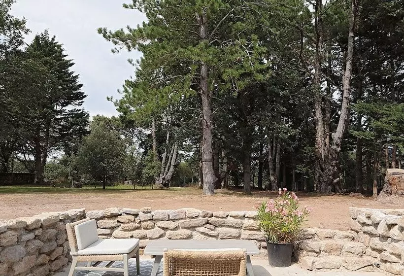 Aamiaismajoitus (B&B) Pierres Blanches Guérande   Maison D Hôtes