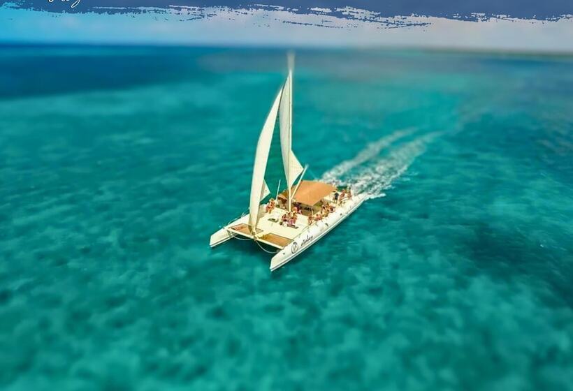 ホテル Tribe Inn & Rooftop Lounge