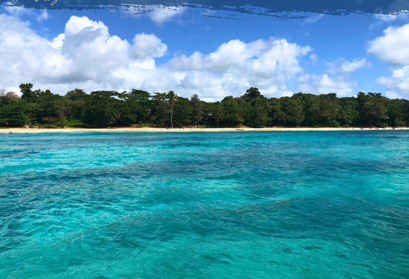 ホテル Tribe Inn & Rooftop Lounge