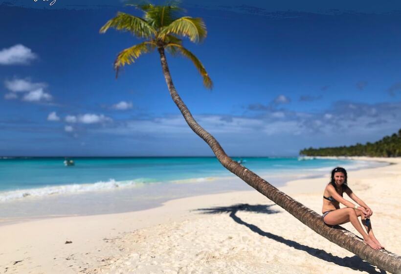 ホテル Tribe Inn & Rooftop Lounge