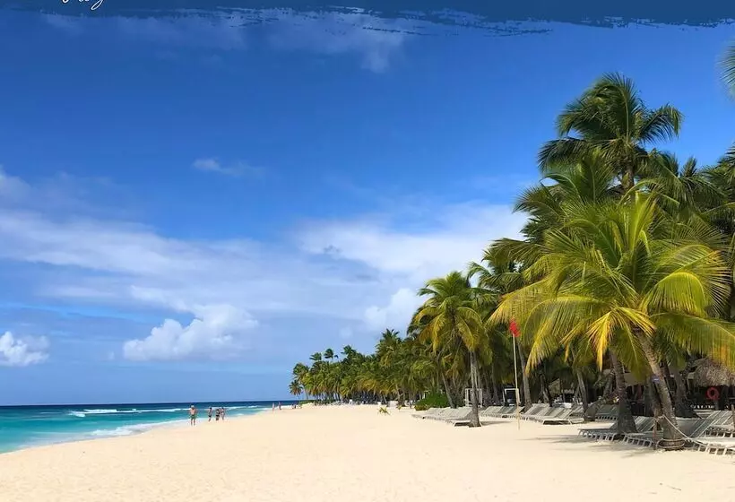 Hotelli Tribe Inn & Rooftop Lounge