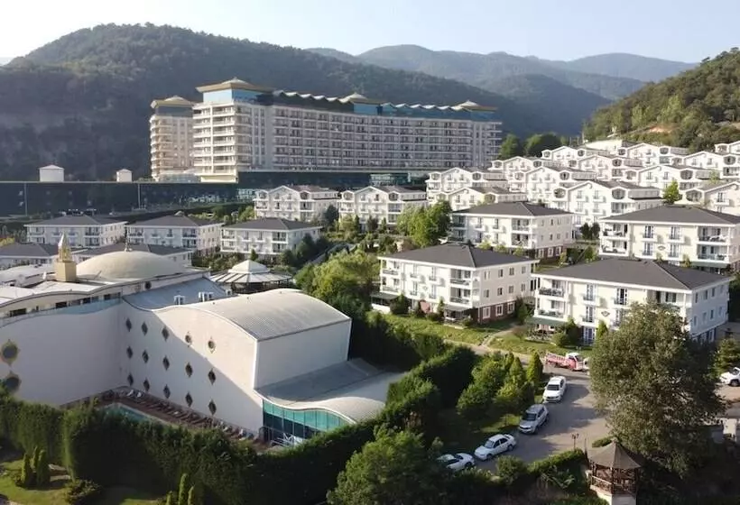 Hotelli Sarot Thermal Palace Tatil Köyü   Halal