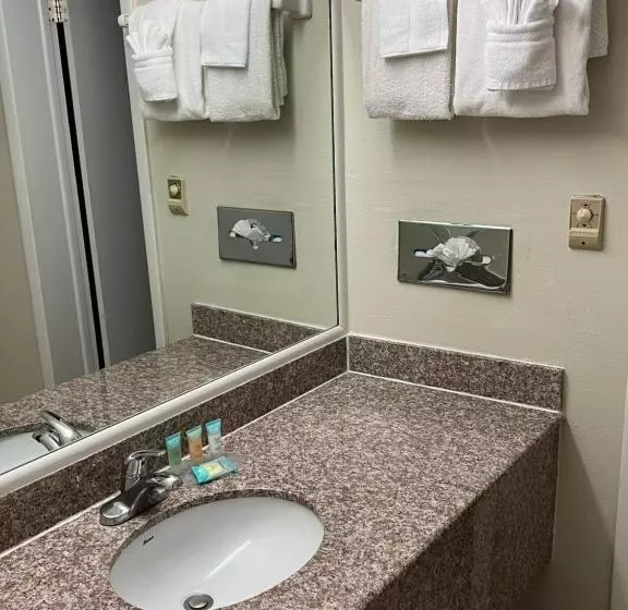 Hotelli Windsor Inn Of Jacksonville