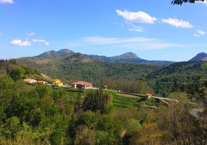 פנסיון Colle Del Faggio Nature Room